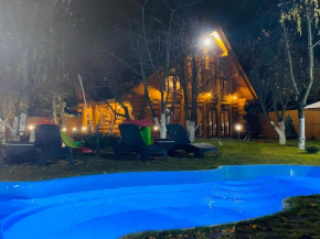 Villa Bizon Lake - Osocor